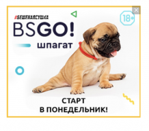 Тамара ДДДД