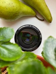 Анна Портер